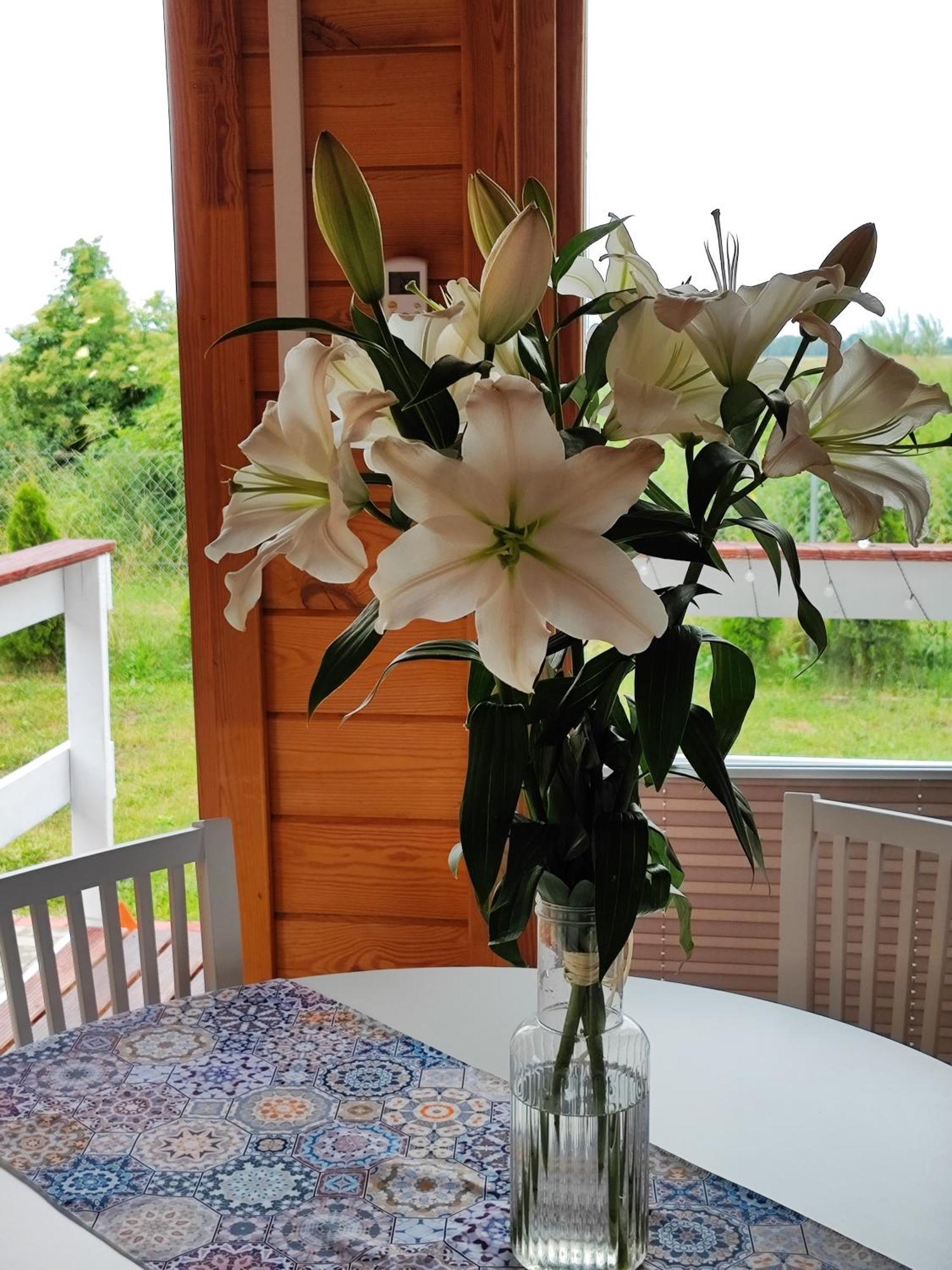 Blisko Natury - W Sztutowie Holiday home